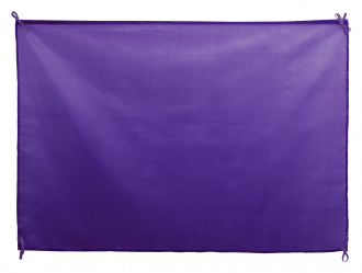 Dambor flag